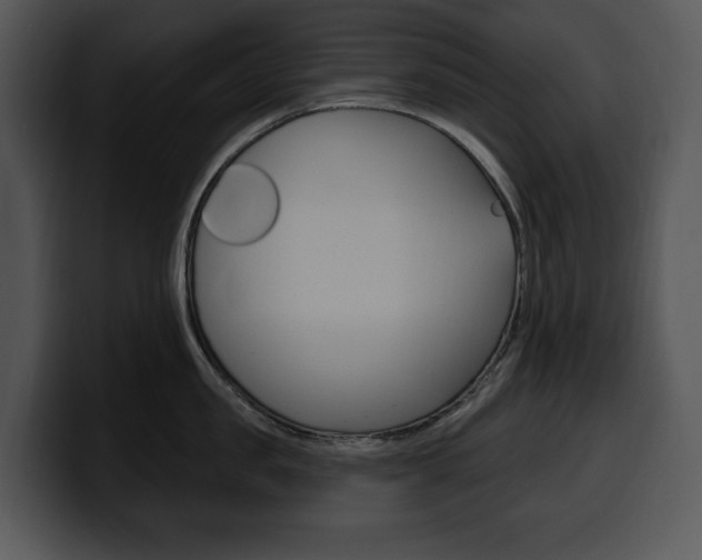 X0000100500957200806130727