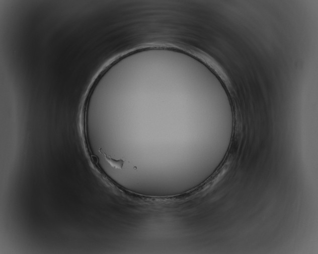 X0000100500958200806130727