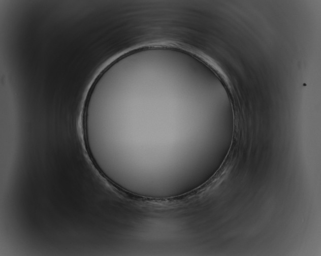 X0000100500959200806130727