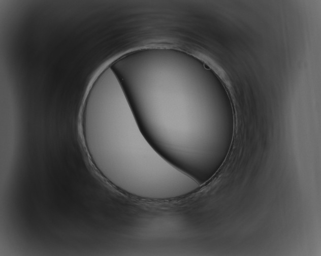 X0000100500960200806130727