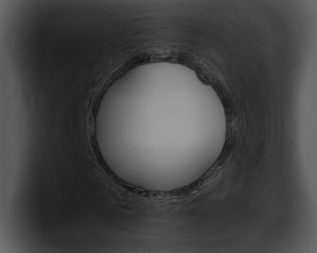 X0000100500961200806130726