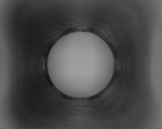 X0000100500962200806130726