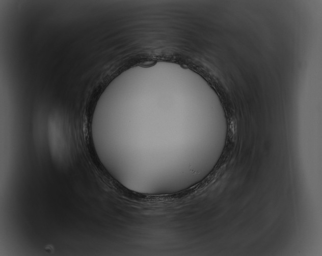 X0000100500963200806130726