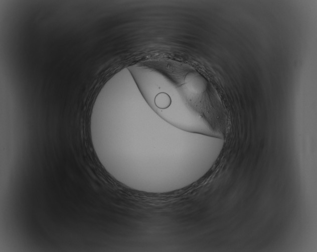 X0000100500964200806130726