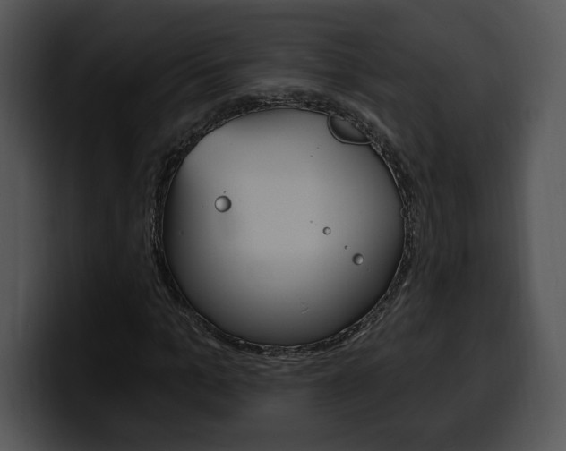 X0000100500965200806130726