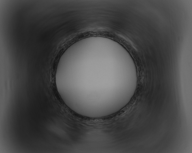 X0000100500966200806130726