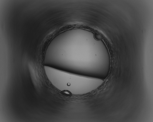 X0000100500967200806130726