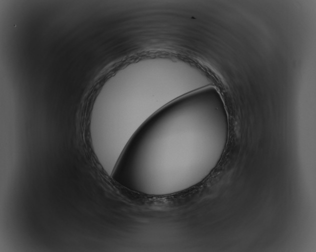X0000100500968200806130726