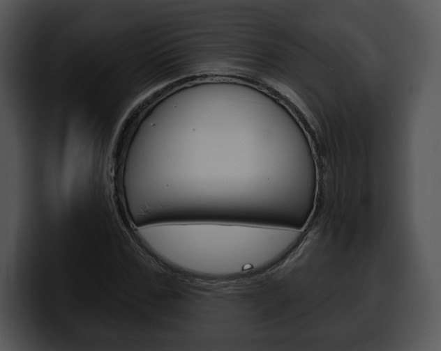 X0000100500971200806130726