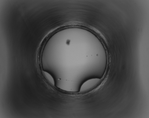 X0000100500973200806130726