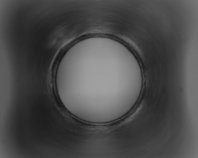 X0000100500974200806130726