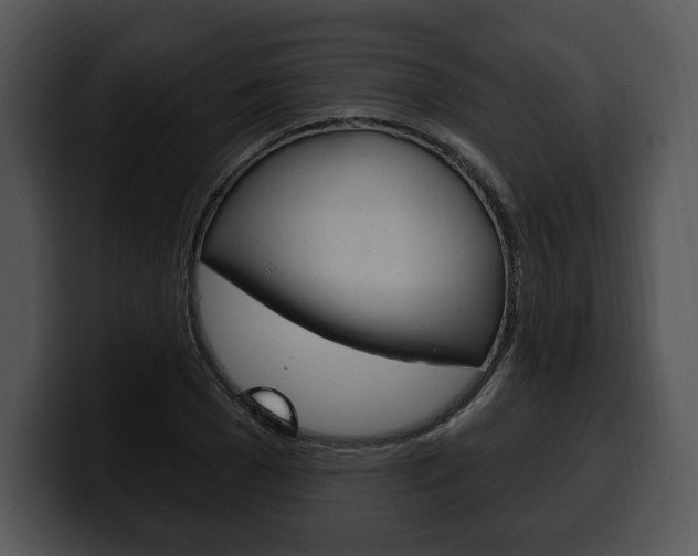 X0000100500977200806130726