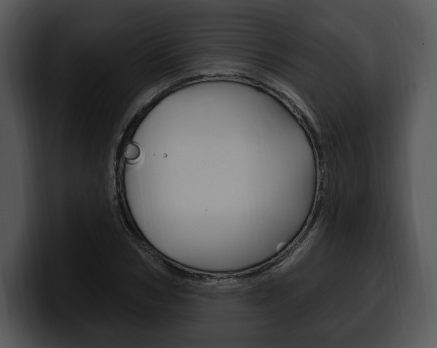 X0000100500978200806130726