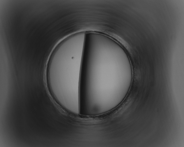 X0000100500980200806130726