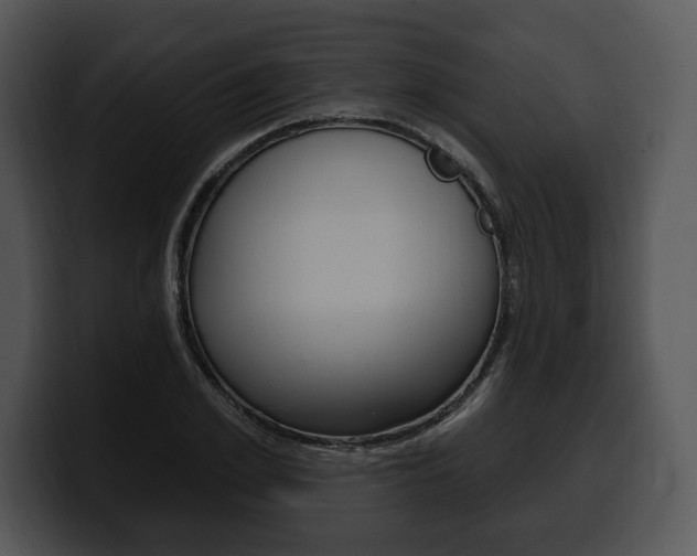X0000100500981200806130726