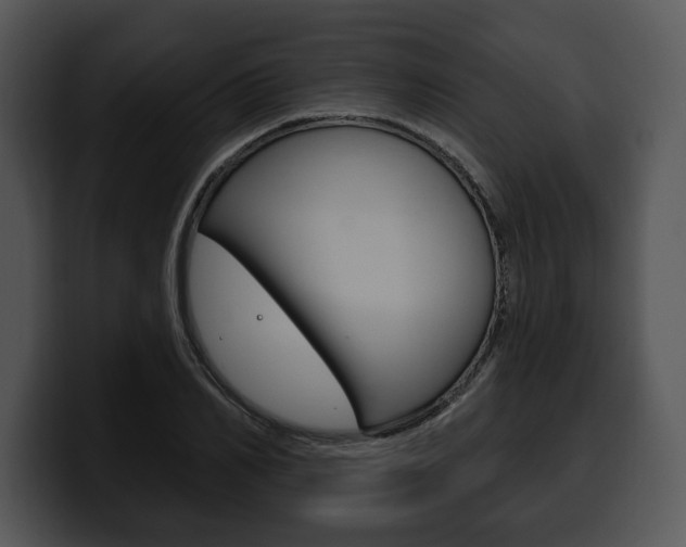 X0000100500982200806130726