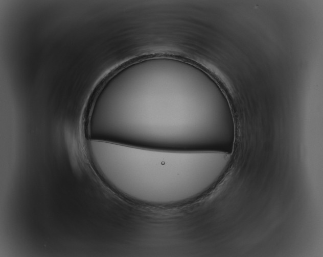 X0000100500983200806130726