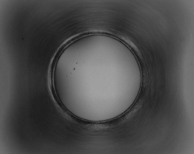 X0000100500984200806130726