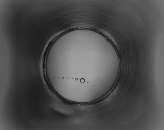 X0000100500987200806130726