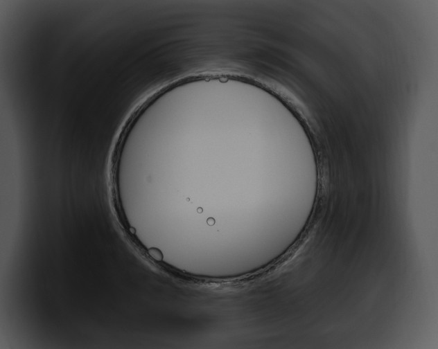 X0000100500990200806130726