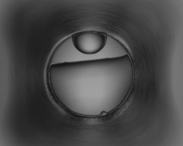 X0000100500991200806130726