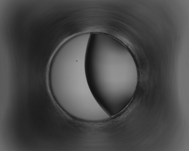 X0000100500992200806130726