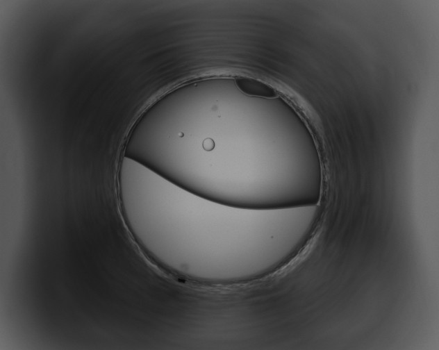 X0000100500993200806130726