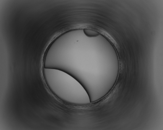 X0000100500994200806130726