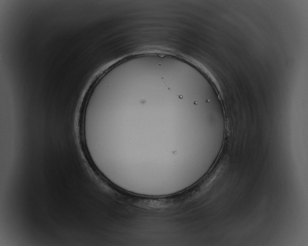 X0000100500995200806130726
