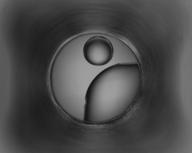 X0000100500996200806130726