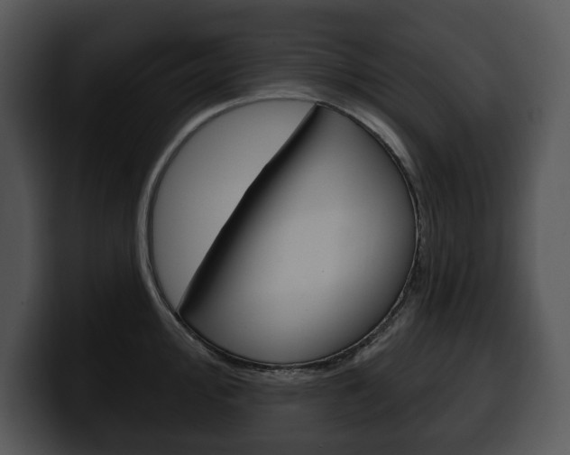 X0000100501000200806130726