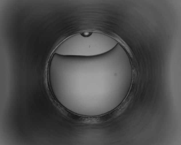 X0000100501002200806130726