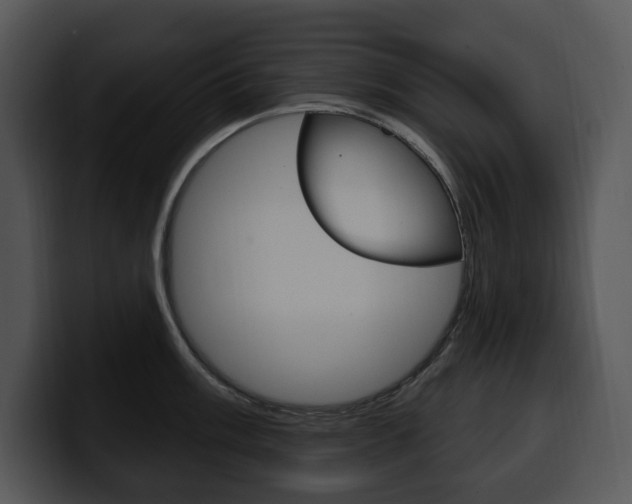 X0000100501003200806130726
