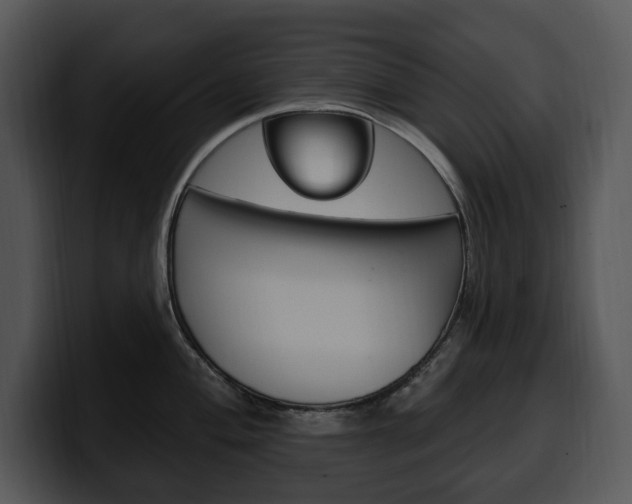 X0000100501004200806130726
