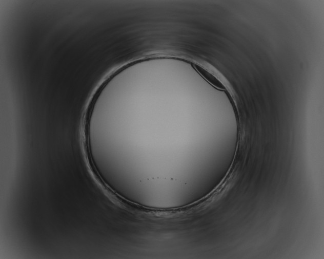 X0000100501005200806130726