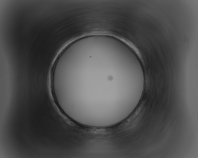 X0000100501006200806130726