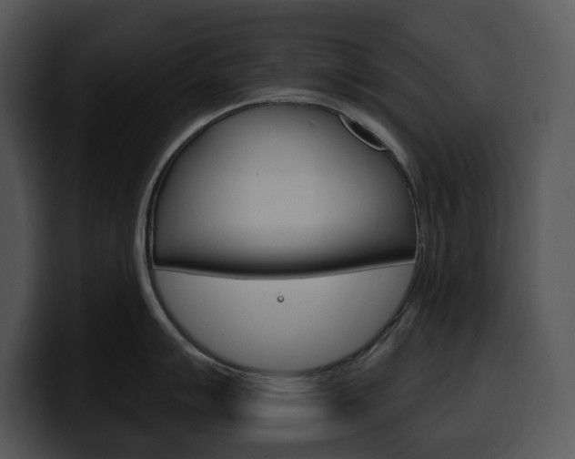 X0000100501007200806130726