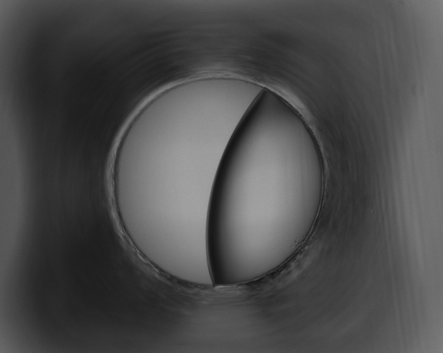 X0000100501008200806130726