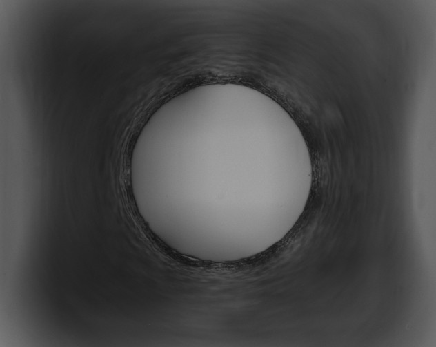 X0000100501009200806130725