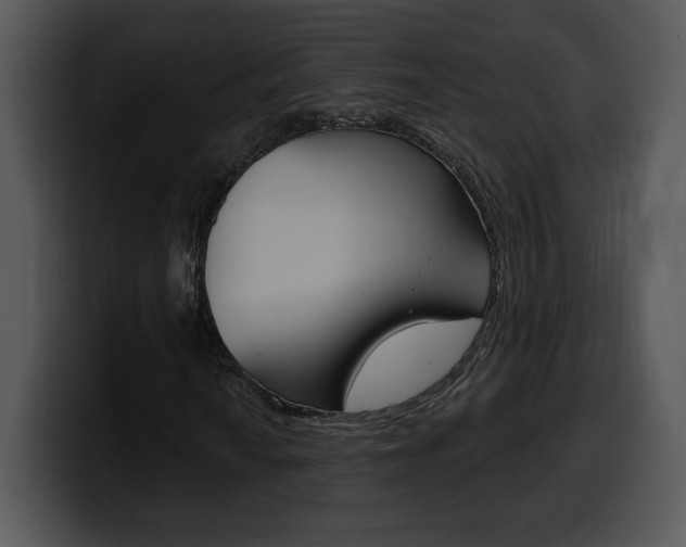 X0000100501010200806130725