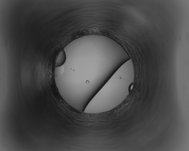 X0000100501011200806130725