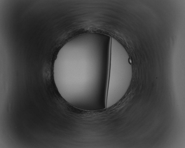 X0000100501012200806130725