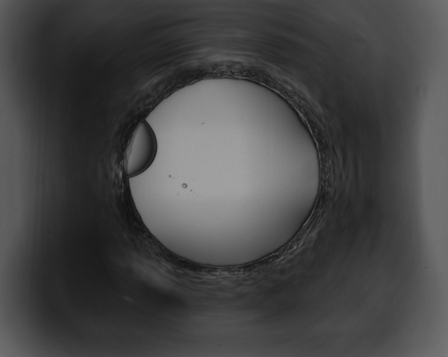 X0000100501013200806130725