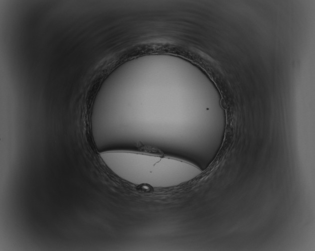 X0000100501014200806130725