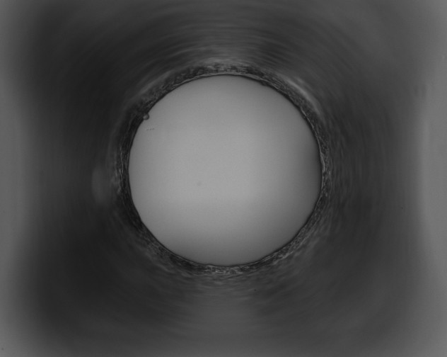 X0000100501015200806130725