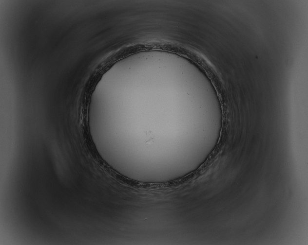 X0000100501016200806130725