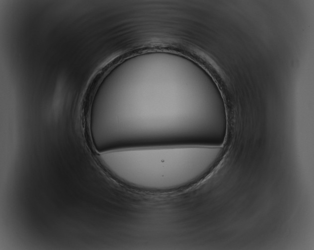 X0000100501018200806130725