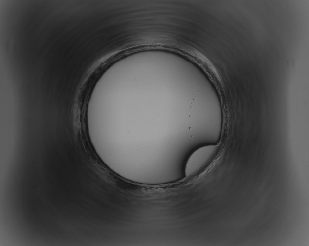 X0000100501019200806130725