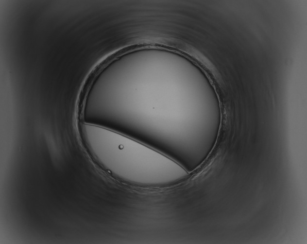 X0000100501020200806130725