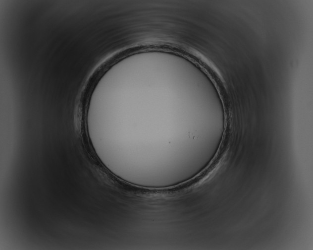 X0000100501021200806130725